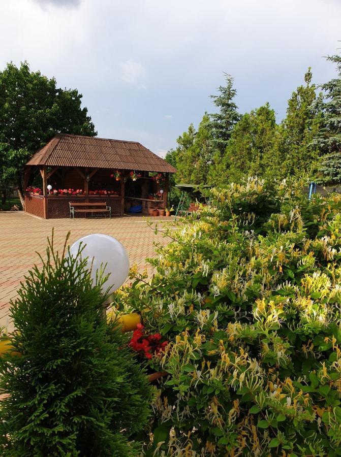 Gasthof Pensiunea Confort *